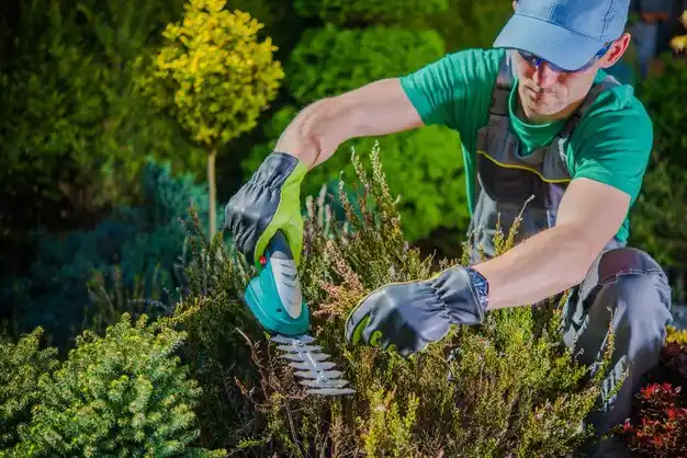 landscaping services Blasdell
